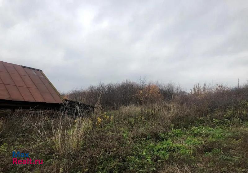 Рыбная Слобода село Русский Ошняк частные дома