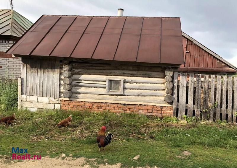 Рыбная Слобода село Шадки, улица С. Сайдашева, 23 частные дома