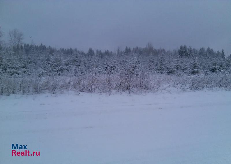 Оханск ул. Подвойского 2 частные дома