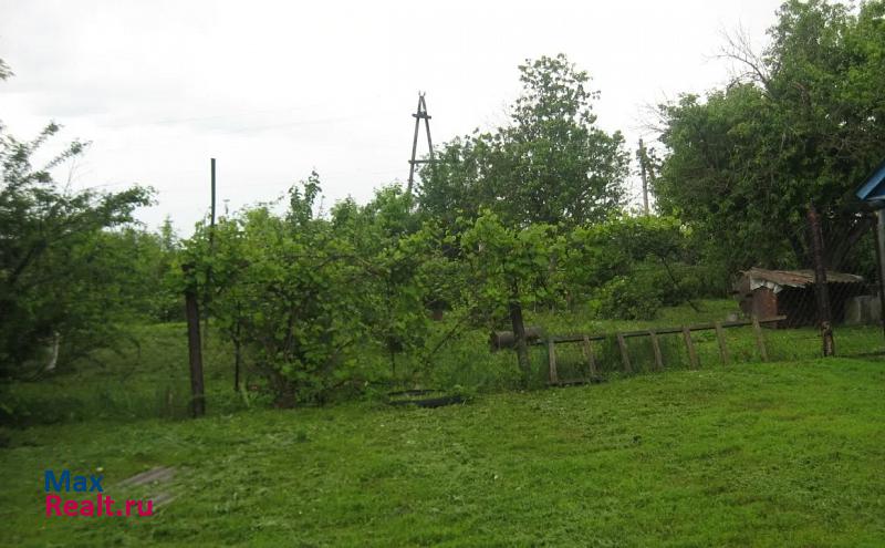 Токаревка село Гладышево частные дома