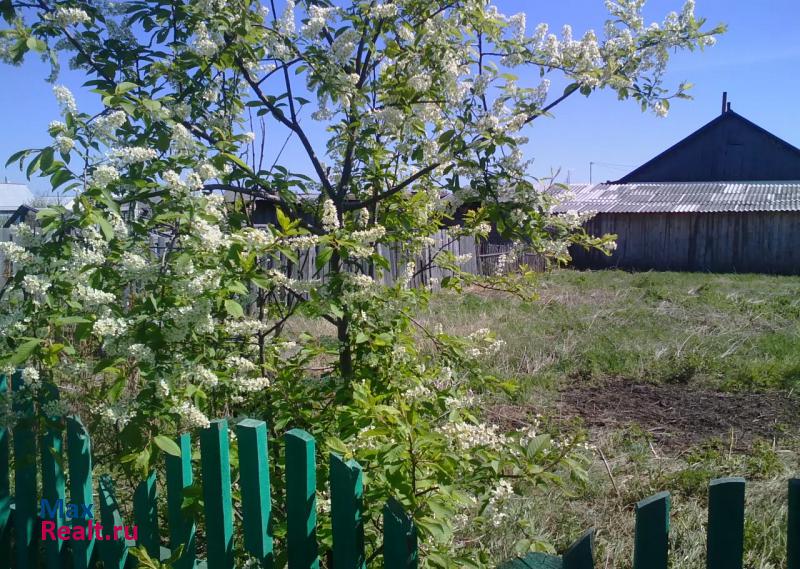 Курган село Большое Чаусово, Новая улица частные дома