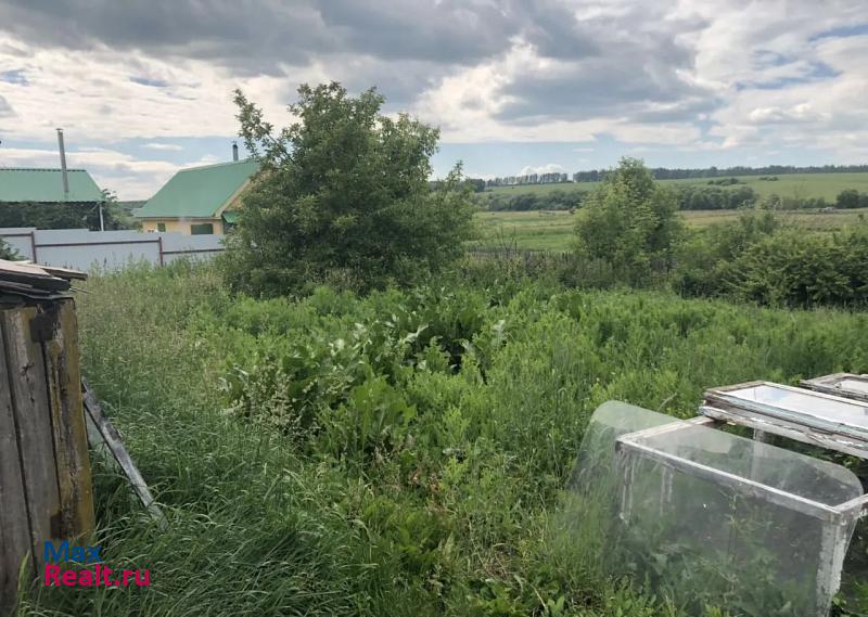 Лямбирь Старошайговский район, село Новотроицкое, Советская улица частные дома