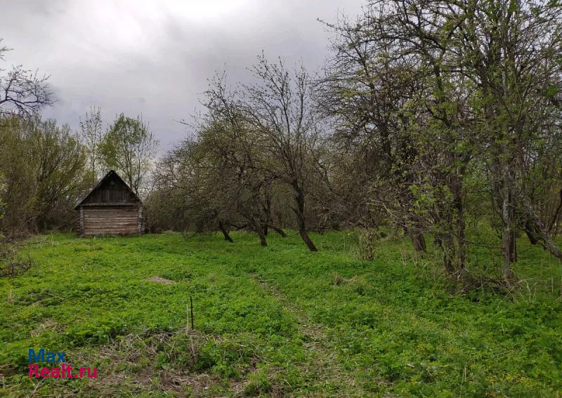 Шимск Шимский район, деревня Старый Медведь частные дома