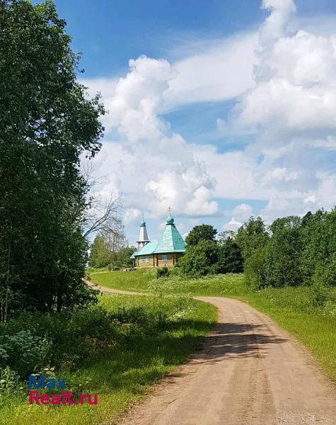 Крестцы Крестецкий район, деревня Новое Рахино частные дома