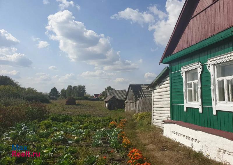 Сосновка село Стежки, Советская улица частные дома