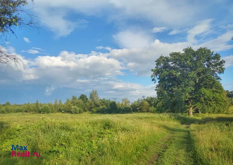 Гдов деревня Курино частные дома