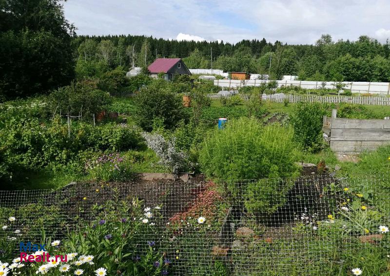 Питкяранта Питкярантское городское поселение, Ладожская улица, 14 частные дома