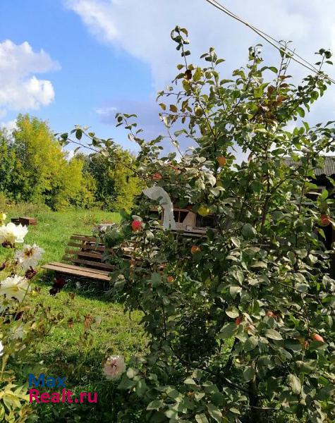 Зуевка Зуевский район, село Мухино, Шоссейная улица частные дома