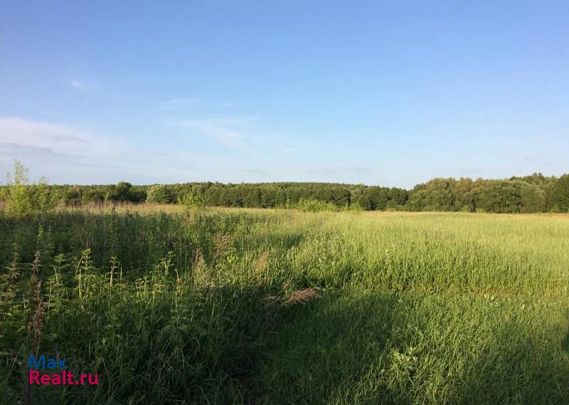 Доброе село Замартынье частные дома