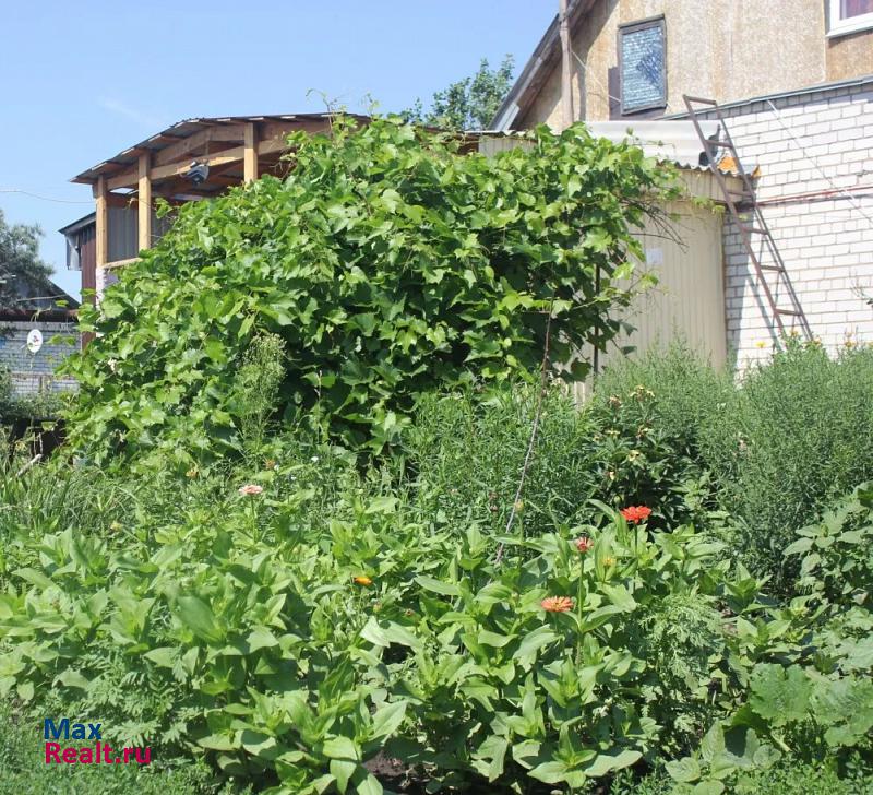 Чердаклы Чердаклинский район, село Поповка частные дома