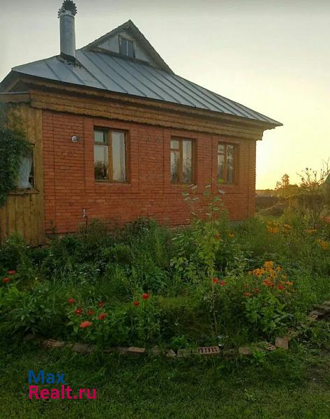 Кушнаренково село Шарипово, Центральная улица частные дома