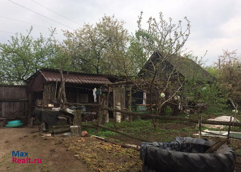 Сураж Овчинское сельское поселение, село Овчинец частные дома