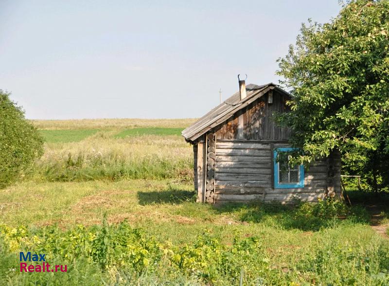 Починки село, Починковский район, Криуша частные дома