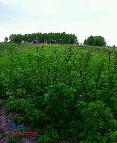 Белев Тульская обл, Белевский р-н, с. Мишенское частные дома