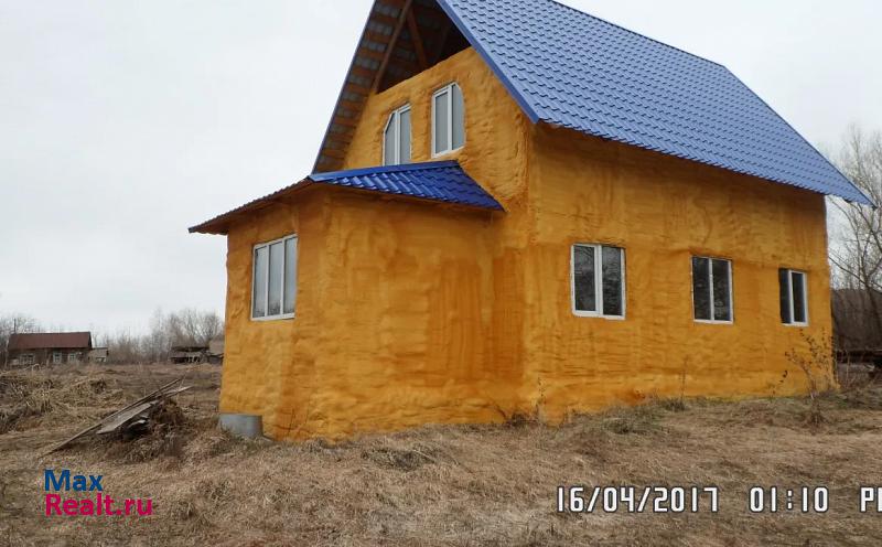 Алтайское с. Нижнекаменка, ул Чапаева, 2 частные дома