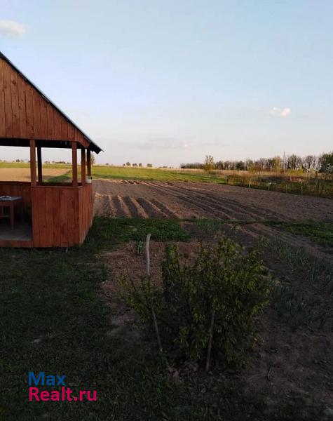 Спасск-Рязанский деревня Желобова Слобода, Магистральная улица частные дома