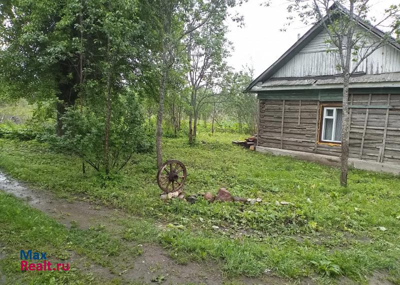 Себеж Себежский район, деревня Литвиново частные дома