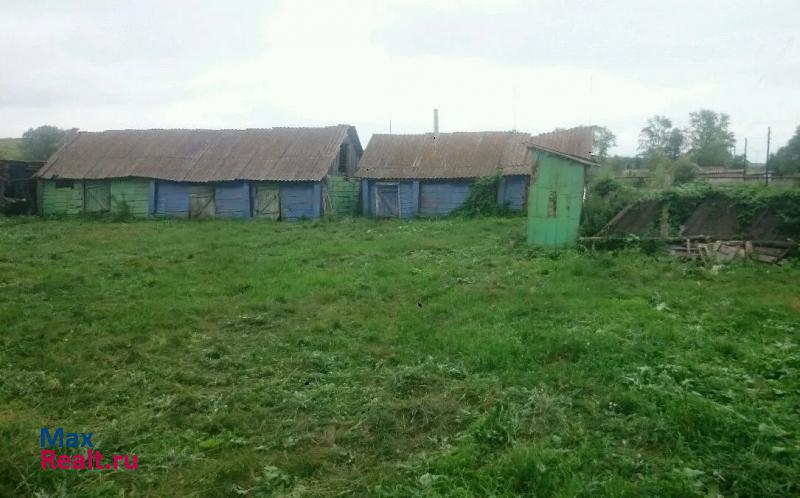 Кинель-Черкассы село Богородское, Садовая улица частные дома