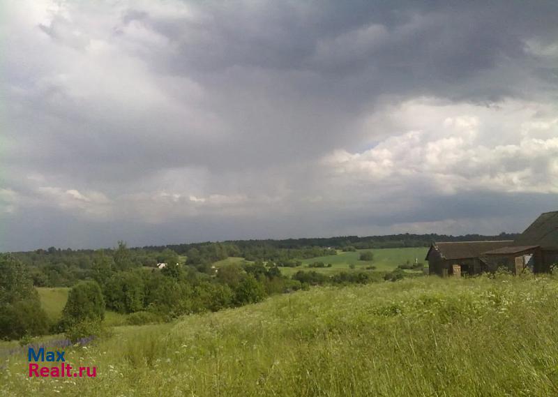 Невель деревня Хвошно, Городокский район частные дома