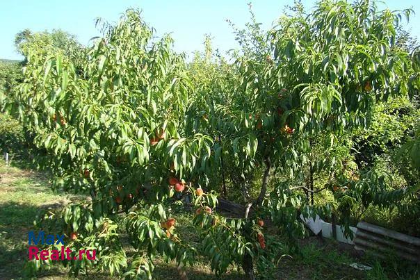 Архипо-Осиповка село Пшада, Новая улица частные дома