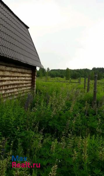 Бор деревня Пионерское частные дома