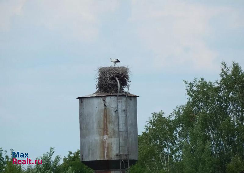 Смоленск д.Городец частные дома