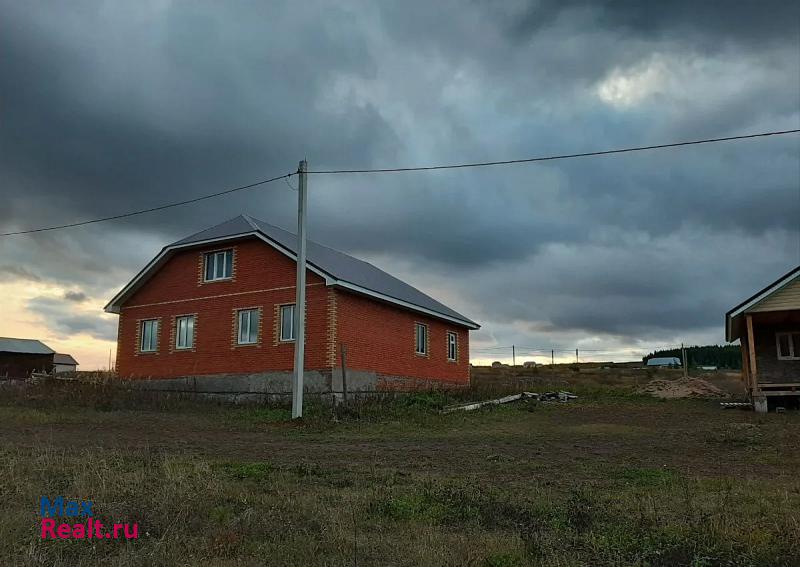 Кукмор село Большой Кукмор, улица Ломоносова, 40 частные дома