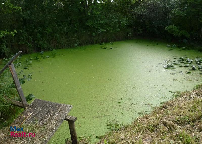 Галич село Орехово частные дома