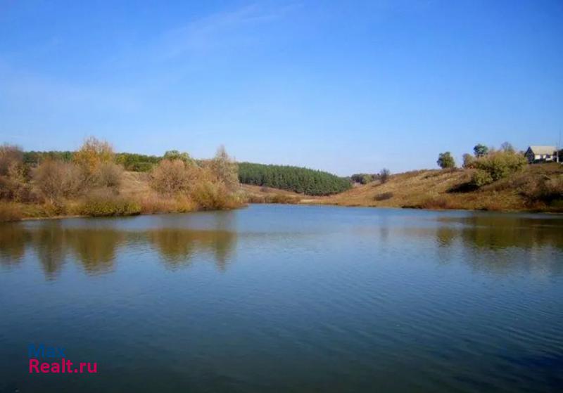 Борисовка село Акулиновка, Хуторская улица частные дома