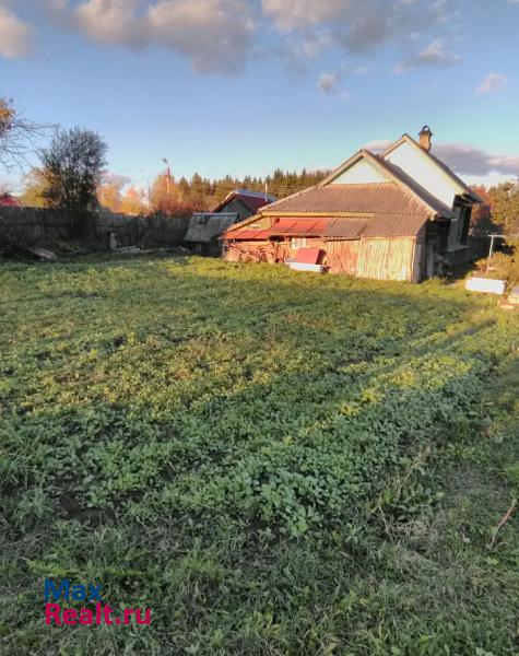 Родники село, Родниковский район, Каминский частные дома