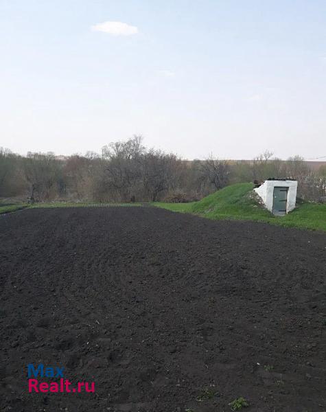 Семилуки село Медвежье, Центральная улица частные дома