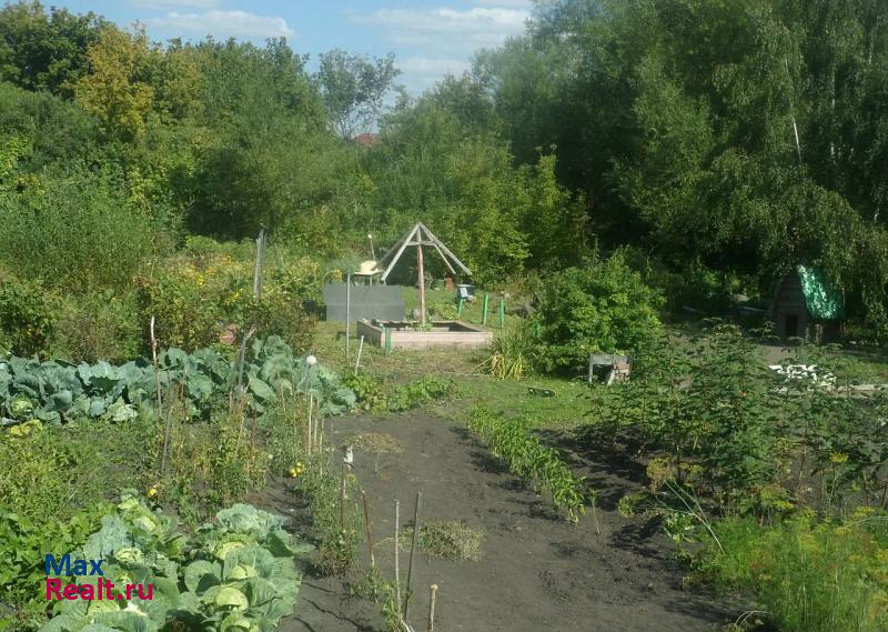 Белокуриха ПАУСТОBСКОГО частные дома