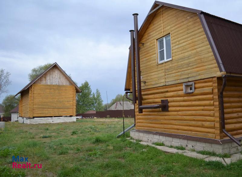 Касимов село Балушевы Починки, Центральная улица частные дома