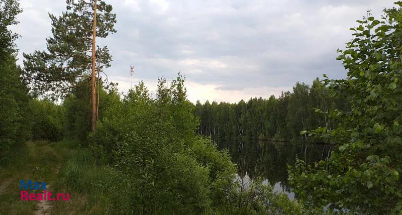 Рязань село Криуша, Клепиковский район частные дома