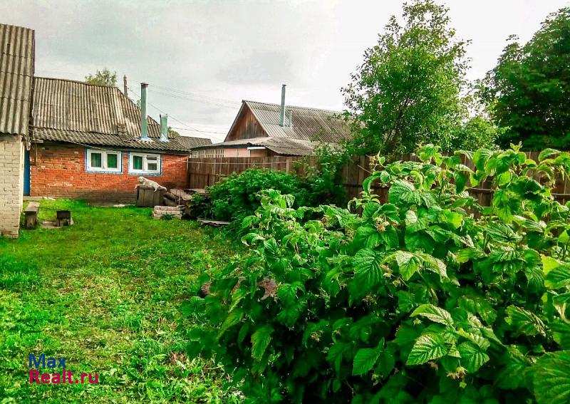 Спасск-Рязанский село Троица, Советская улица, 16 частные дома