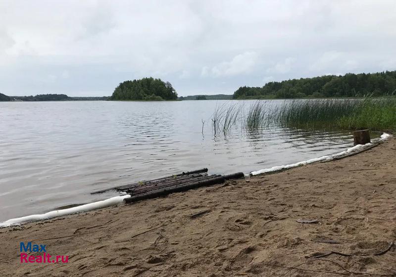 Озерный Демидовский район, поселок городского типа Пржевальское частные дома