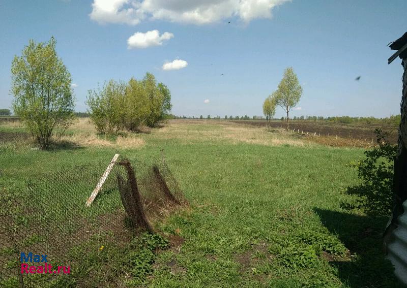 Первомайский Первомайский район, село Новоархангельское, Первомайская улица частные дома