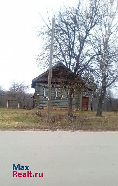 Меленки село Воютино, Центральная улица частные дома