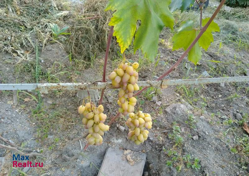 Майский село Никольское, посёлок Бродок, Степная улица частные дома