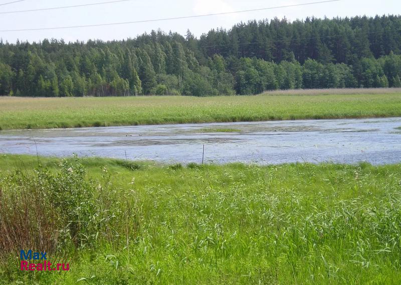 Печоры поселок Подгорье частные дома