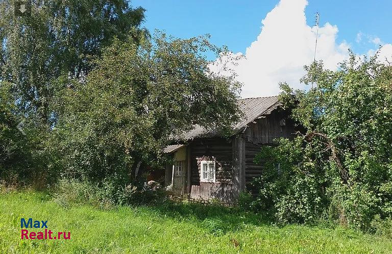 Невель деревня, Невельский район, Бородино частные дома