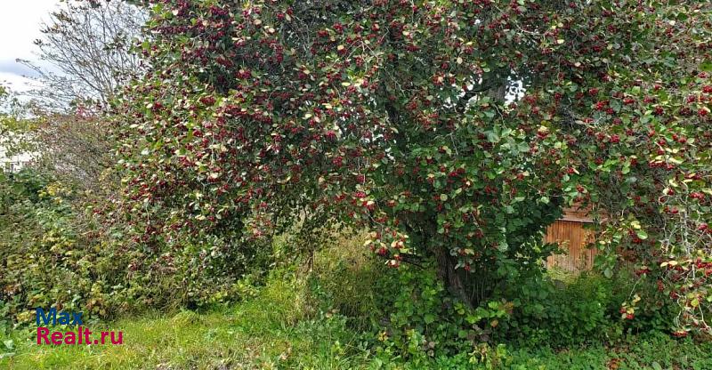 Лотошино городской округ Лотошино, деревня Узорово частные дома