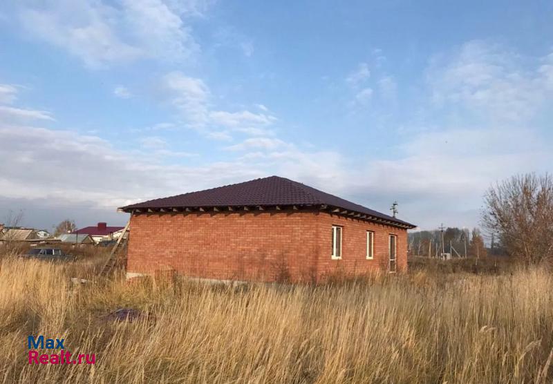 Тольятти село Нижнее Санчелеево частные дома