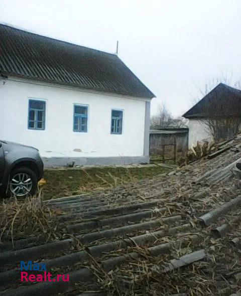 Новосиль село Задушное, Центральная улица частные дома