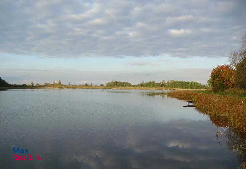 Псков Печорский район, деревня Калки продажа частного дома