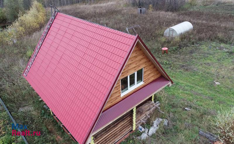 Ижевск деревня Сепыч, Центральная улица частные дома