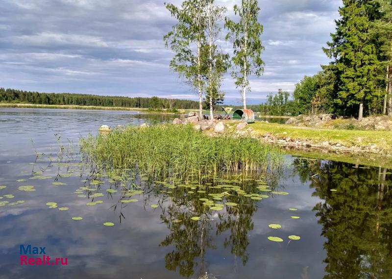 Санкт-Петербург Гончаровское поселение п.Барышево