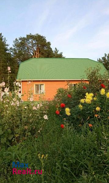 Тюмень село Тюнево, Дачная улица частные дома