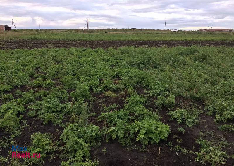 Омск Омский район, село Красная Горка, улица Старая деревня частные дома