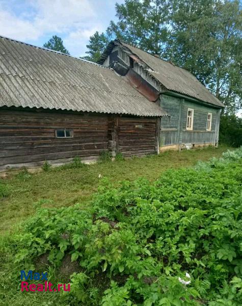 Панковка деревня Борки продажа частного дома